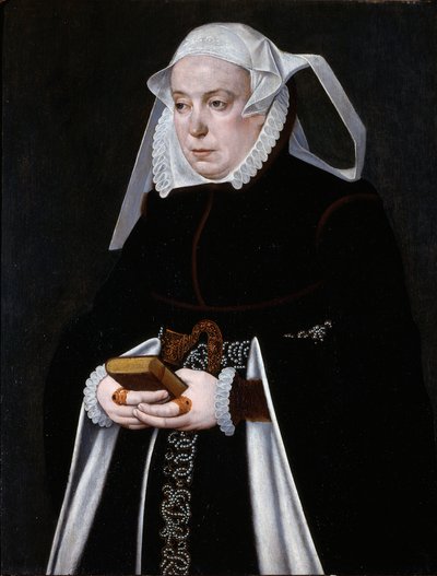Retrato de mujer, c.1560-70 (óleo sobre tabla) de Bartholomaus the Younger Bruyn