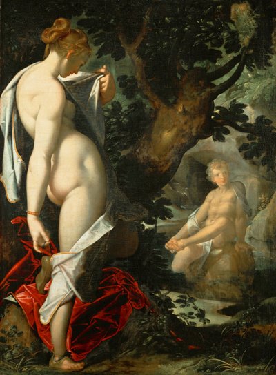 Alemán: Hermaphroditus und die Nymphe Salmacis Hermaphroditus and the nymph Salmacis de Bartholomeus Spranger