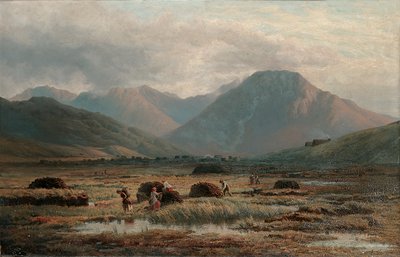 Turbera, Letterfrack, Connemara de Bartholomew Colles Watkins