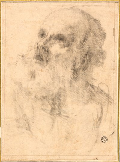 Cabeza de anciano de Bartolomé Esteban Murillo