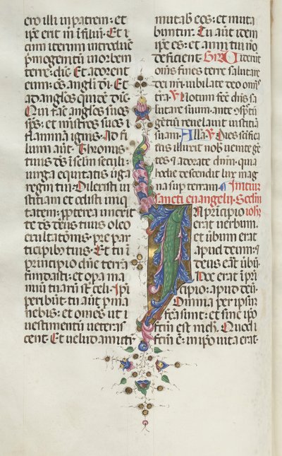 Misal: Fol. 22v: Follaje con peces, 1469 de Bartolomeo Caporali