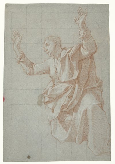 Estudio de un joven de Bartolomeo Cesi
