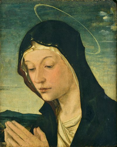 Cabeza y manos de una Virgen adoradora (fragmento), c.1477-78 (temple sobre madera de álamo) de Bartolomeo Montagna