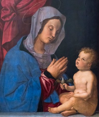Virgen con el Niño, c.1503 (óleo sobre tabla de madera) de Bartolomeo Montagna