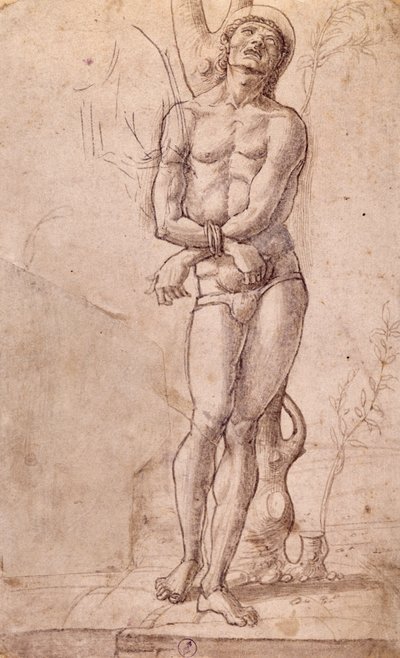 San Sebastián, hacia 1475, dibujo de Bartolomeo Montagna (hacia 1450-1523), pluma y tinta parda, con aguada parda, cm 20x15, Italia de Bartolomeo Montagna