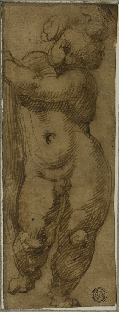 Putto de pie visto desde el frente: Estudio para la Virgen en gloria con los santos Petronio, Domingo y Pedro Mártir de Bartolomeo Passarotti