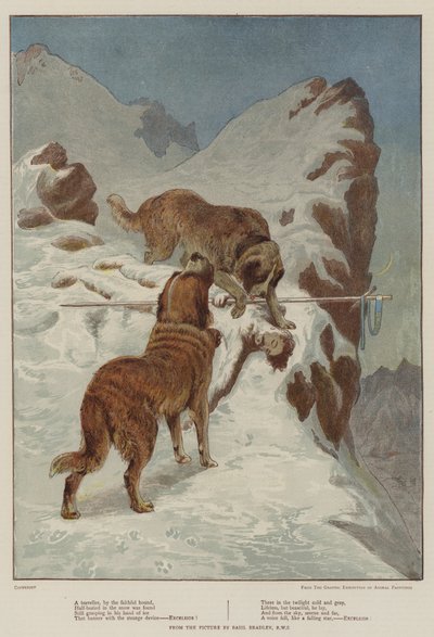 Un viajero, por el perro fiel de Basil Bradley