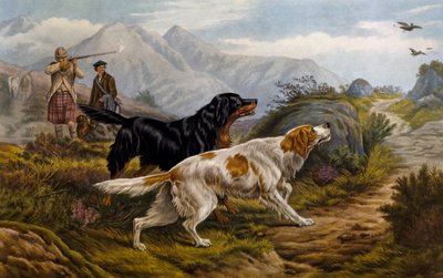 Caza de urogallos de Basil Bradley