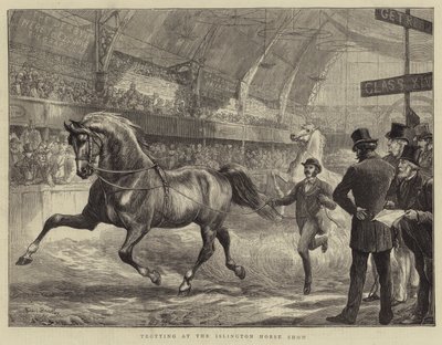 Trote en el espectáculo ecuestre de Islington de Basil Bradley