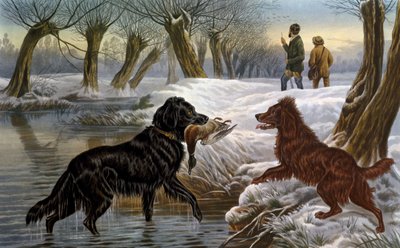 Caza de patos salvajes de Basil Bradley