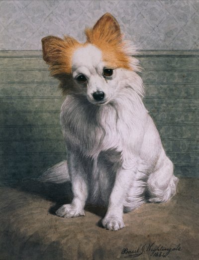 Perro de juguete de Basil J. Nightingale