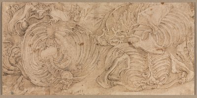 Cajas torácicas, principios de 1540 de Battista Franco