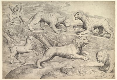 Seis animales, incluidos leones, un tigre, un leopardo, un grifo y una cabra, ca. 1530-61 de Battista Franco Veneziano