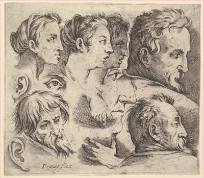 Estudios de cabezas de Battista Franco Veneziano
