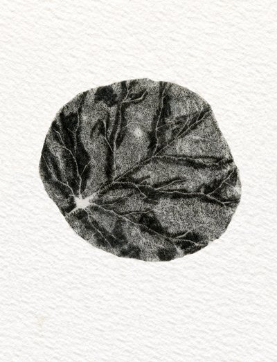 Hoja, 2014 de Bella Larsson
