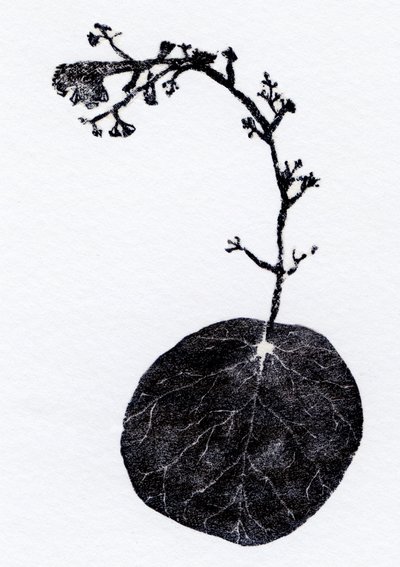 Hoja de liquen, 2014 (Grabado en madera, collage sobre papel) de Bella Larsson