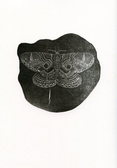 Mariposa nocturna, 2016 de Bella Larsson
