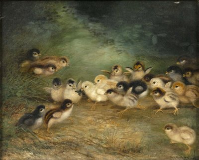 Veintiún pollos y un insecto de Ben Austrian
