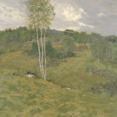 Colinas de abedul de Ben Foster