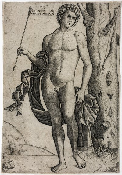 Un joven con una flecha de Benedetto Montagna