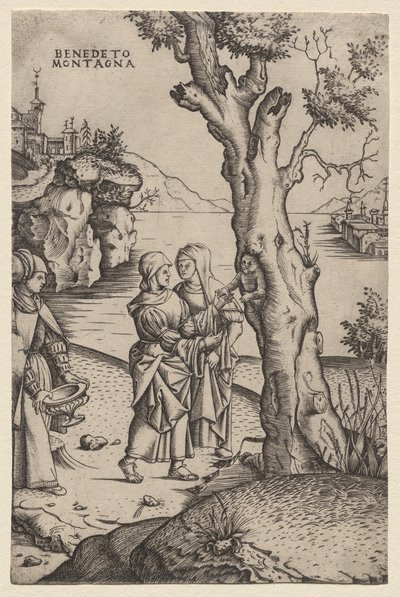 Nacimiento de Adonis (de la serie: Las metamorfosis) de Benedetto Montagna
