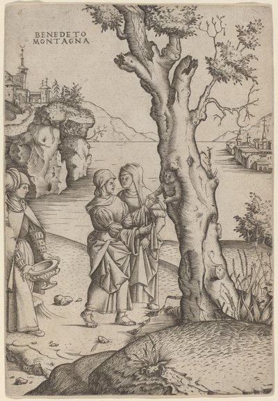 Nacimiento de Adonis de Benedetto Montagna