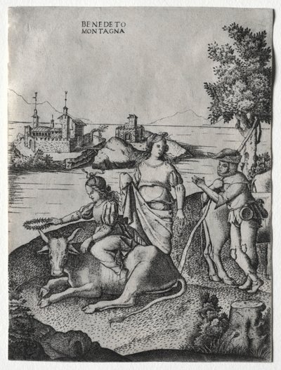 El rapto de Europa de Benedetto Montagna