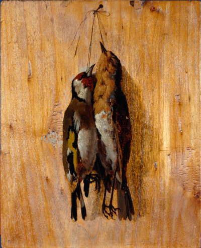 Estudio del natural Dos alfileres de pájaros muertos en la pared. Pintura de Benedetto Musso (1835-1883) 1864 alrededor de Sol. 20,5x16,5 cm genes, Galleria d