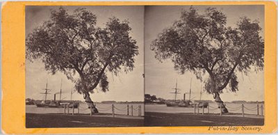 Árbol de sauce. Plantado por el Com. Perry y otros sobrevivientes de la batalla del Lago Erie, para marcar el lugar de entierro de los caídos. de Benedict