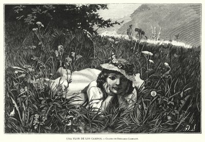 Una Flor del Campo de Benjamin  Constant