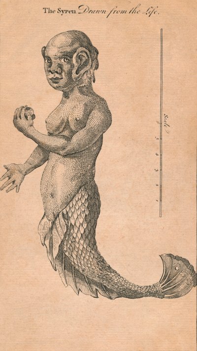 La sirena dibujada de la vida de Benjamin Cole