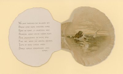 Ilustración para folleto titulado Conchas marinas de Benjamin D. Sigmund