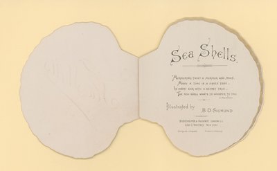 Ilustración para folleto titulado Conchas Marinas de Benjamin D. Sigmund