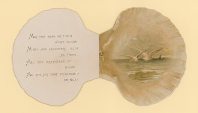 Ilustración para folleto titulado Conchas marinas de Benjamin D. Sigmund