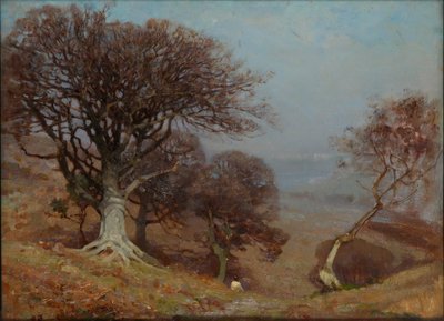 Hayedos en los Quantocks de Benjamin Haughton
