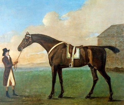 Un mozo sosteniendo las riendas de un caballo de carreras 