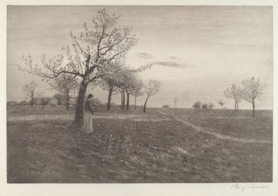 Resplandor de Benjamin Lander