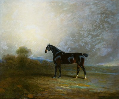 Bembo, un cazador favorito de Charles Shuttleworth, Esq., 1802 de Benjamin Marshall