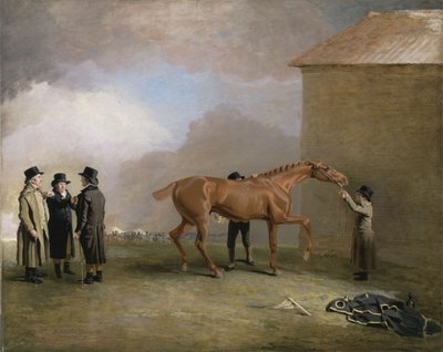 Muly Moloch, un potro castaño siendo frotado en Newmarket Heath, con retratos de Trotter, Hardy y Thompson a la izquierda de Benjamin Marshall