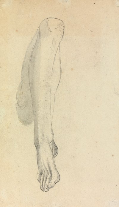 Estudio anatómico de una pierna de Benjamin Robert Haydon