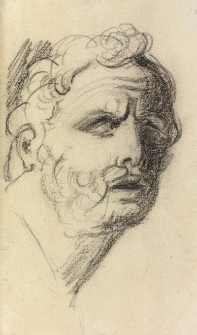 Retrato de un hombre de Benjamin Robert Haydon