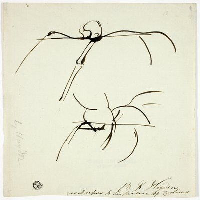 Bocetos relacionados con la pintura de Marcus Curtis de Benjamin Robert Haydon