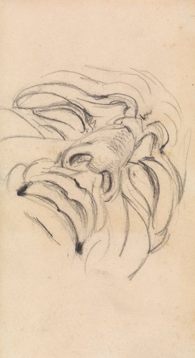 Estudio del rostro expresivo de un hombre de Benjamin Robert Haydon