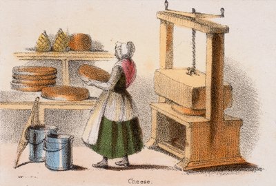 Queso, c. 1845 de Benjamin Waterhouse Hawkins
