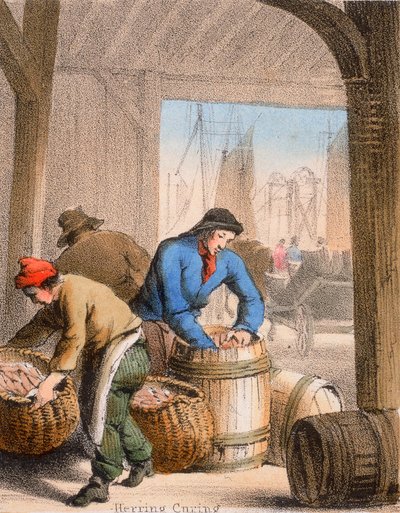 Curado de arenques, c. 1845 de Benjamin Waterhouse Hawkins
