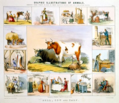 La vaca de Benjamin Waterhouse Hawkins