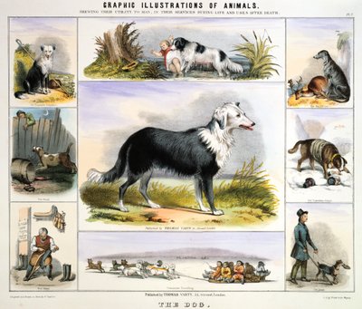 El perro, c. 1850 de Benjamin Waterhouse Hawkins