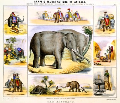 El elefante, c. 1850 de Benjamin Waterhouse Hawkins