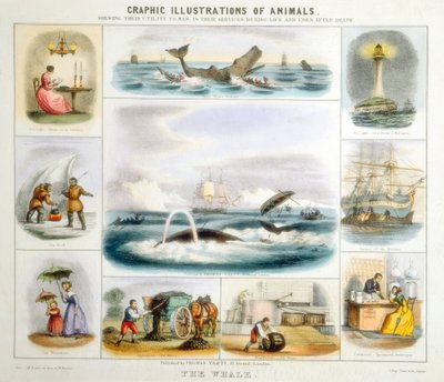 La ballena, c1850 de Benjamin Waterhouse Hawkins