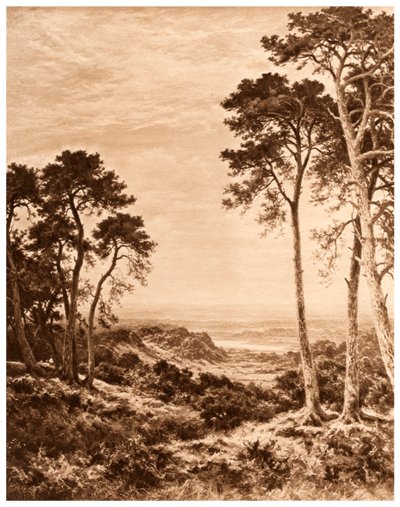 Atardecer después de la lluvia de Benjamin Williams Leader